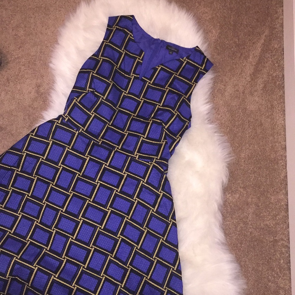 The Limited Fit & Flare Cotton Dress, 14